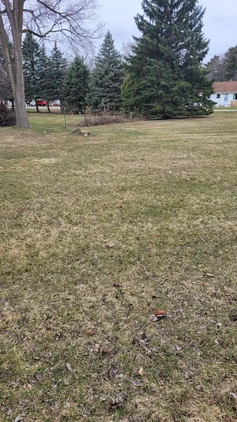 0 Hintz Road, Owosso MI 48867 photo 2