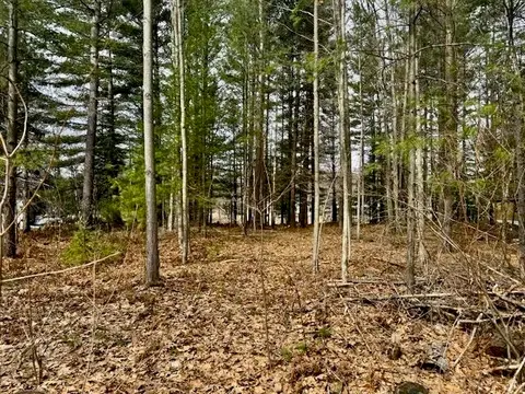 4535 River Lane Street, Alger MI 48610 photo 2