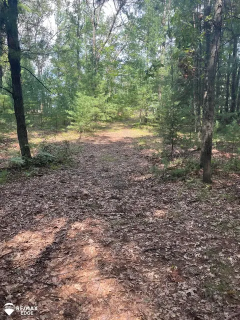 0 Eagle Nest Lane, Alger MI 48610 photo 3