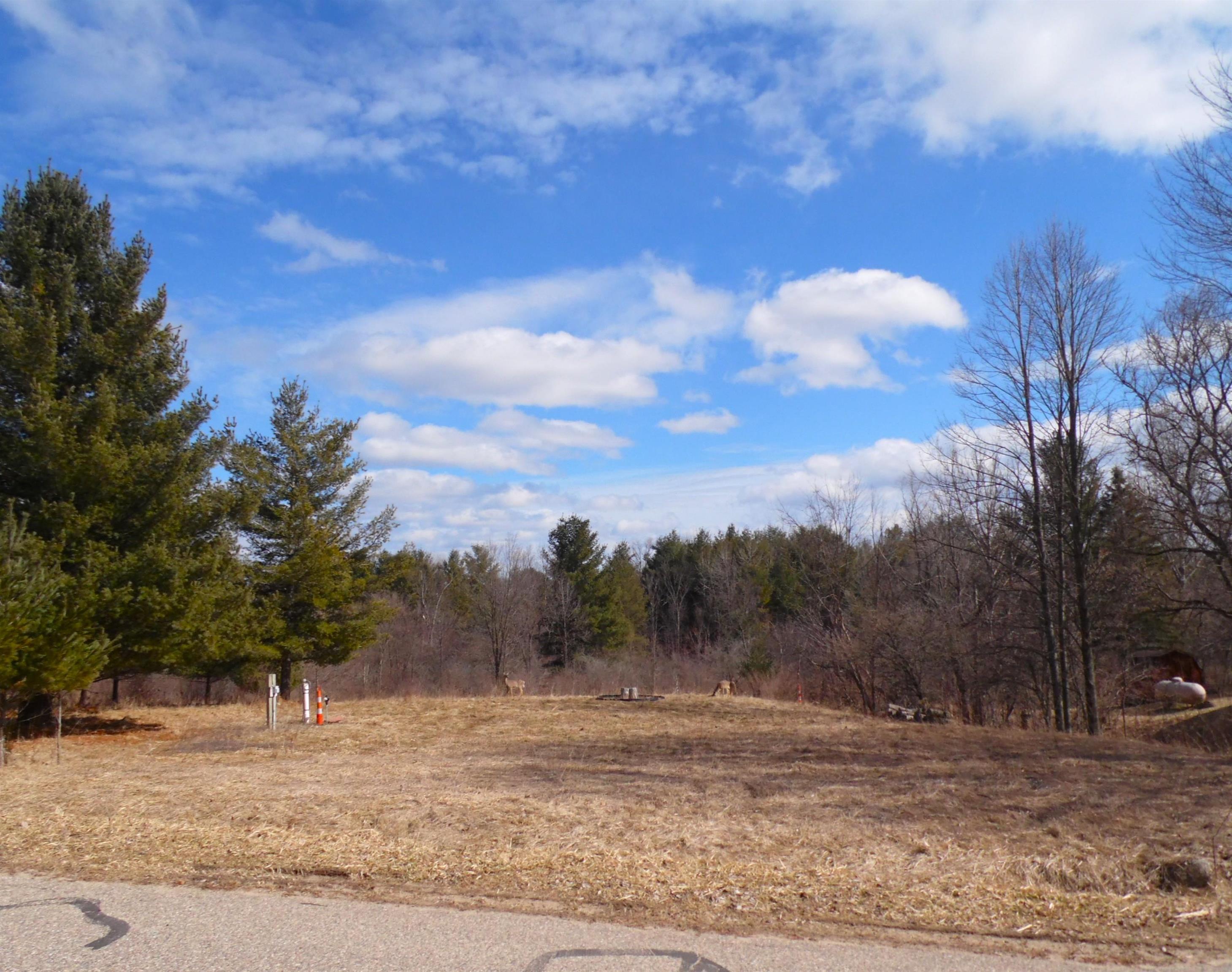 5458 Wellington Road, Gladwin MI 48624 photo 1