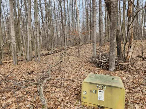 Lot 662 Laurel Lane, Farwell MI 48622 photo 2