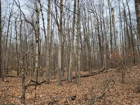 Lot 662 Laurel Lane, Farwell MI 48622 photo 3