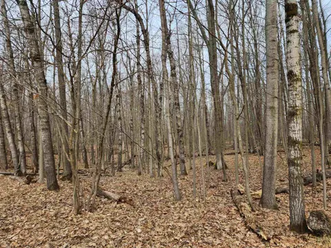 Lot 662 Laurel Lane, Farwell MI 48622 photo 4