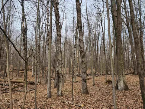 Lot 662 Laurel Lane, Farwell MI 48622 photo 5