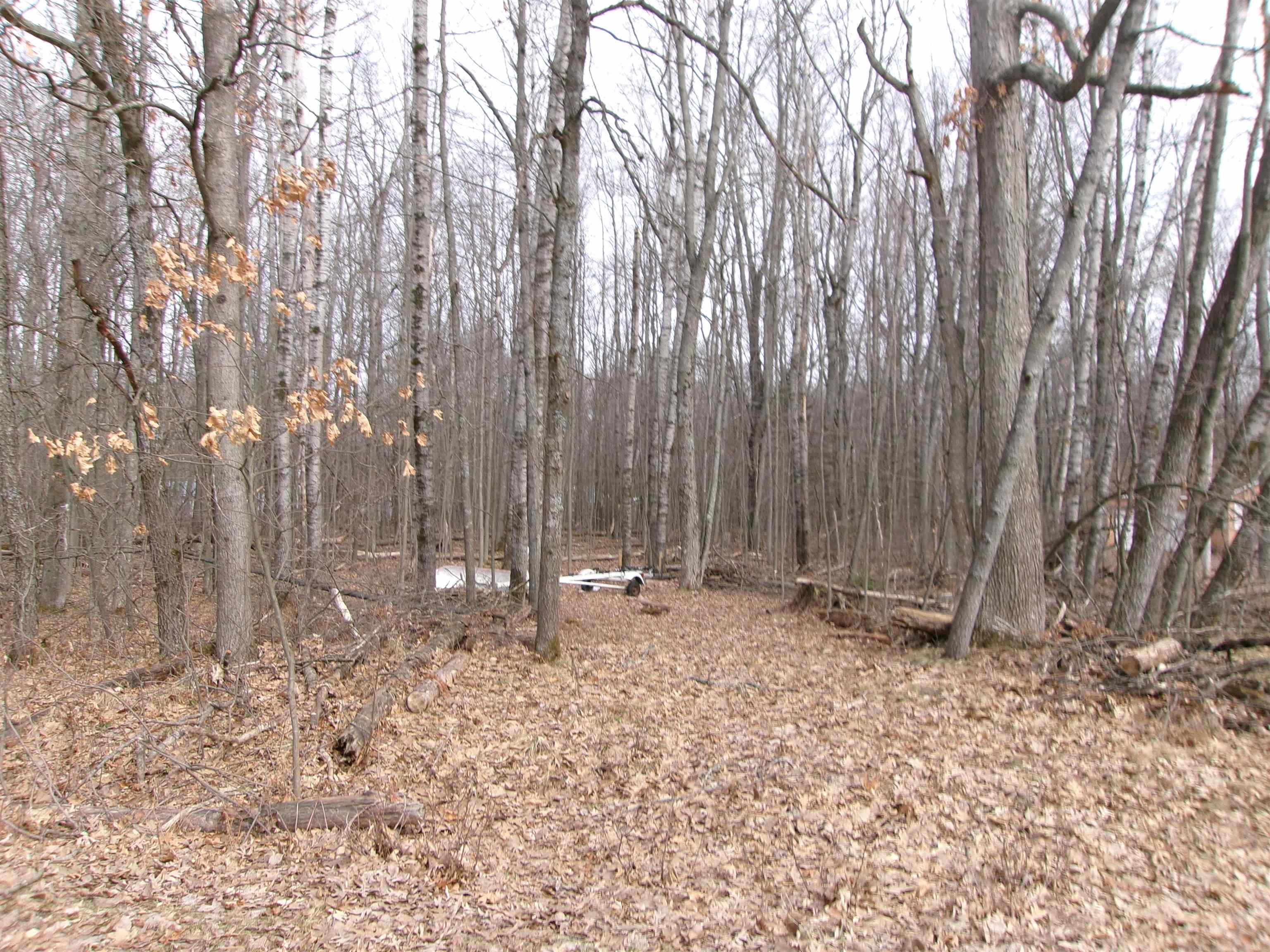 NHN Shadowbrook Drive, Lake MI 48632 photo 1