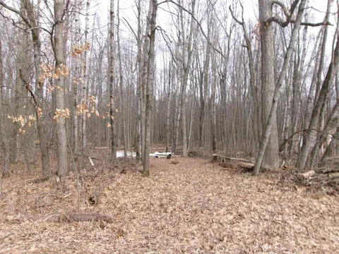 NHN Shadowbrook Drive, Lake MI 48632 photo 1