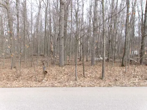 NHN Shadowbrook Drive, Lake MI 48632 photo 2