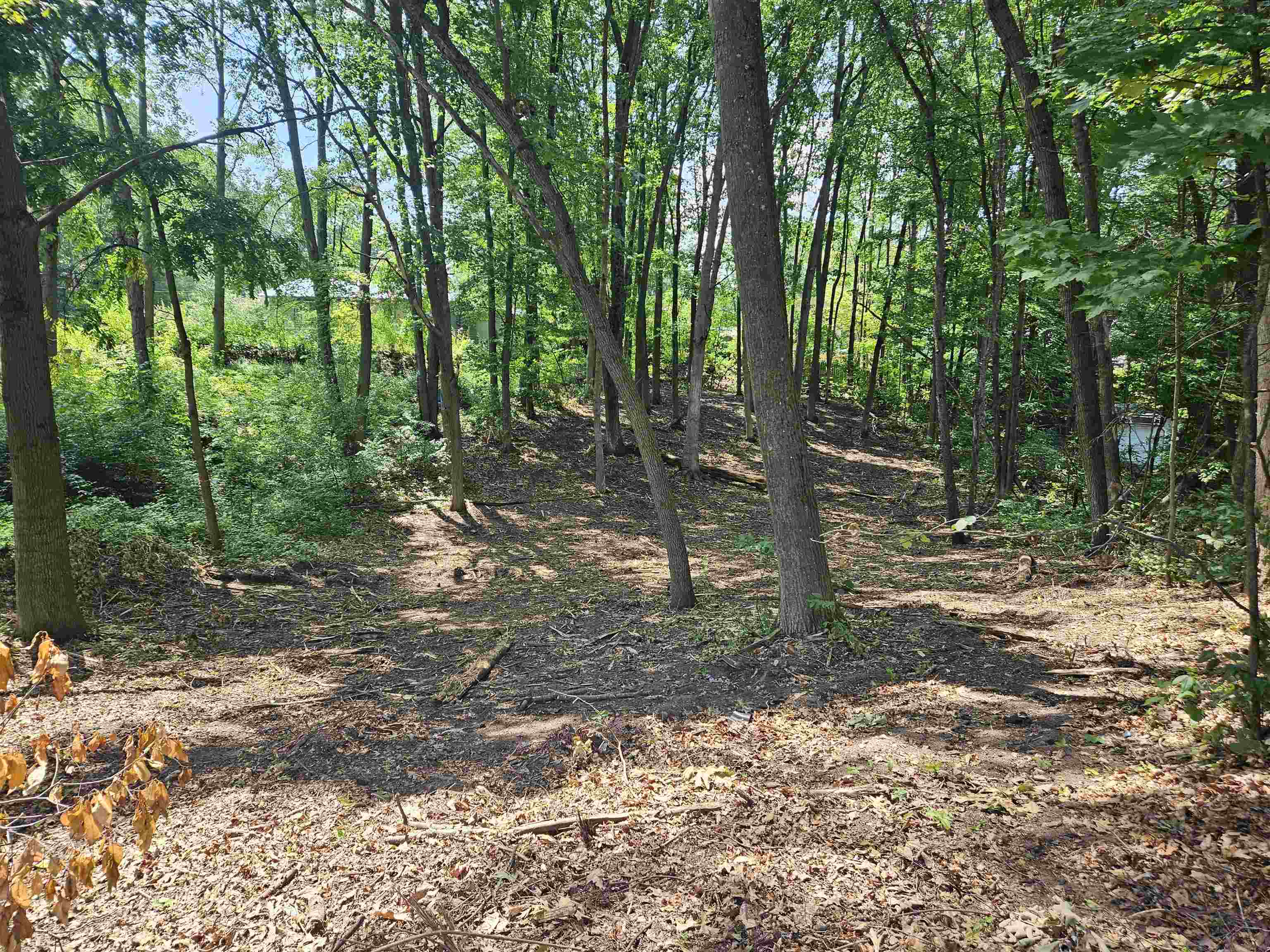 LOt 36 Lakeview Street, Harrison MI 48625 photo 1