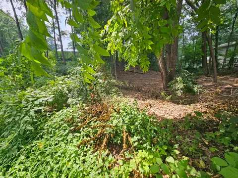 LOt 36 Lakeview Street, Harrison MI 48625 photo 2