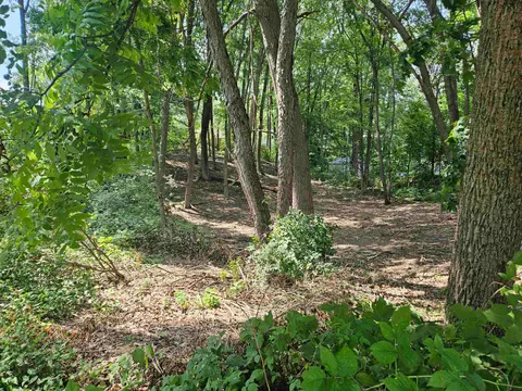 LOt 36 Lakeview Street, Harrison MI 48625 photo 4