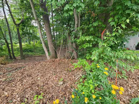 LOt 36 Lakeview Street, Harrison MI 48625 photo 5