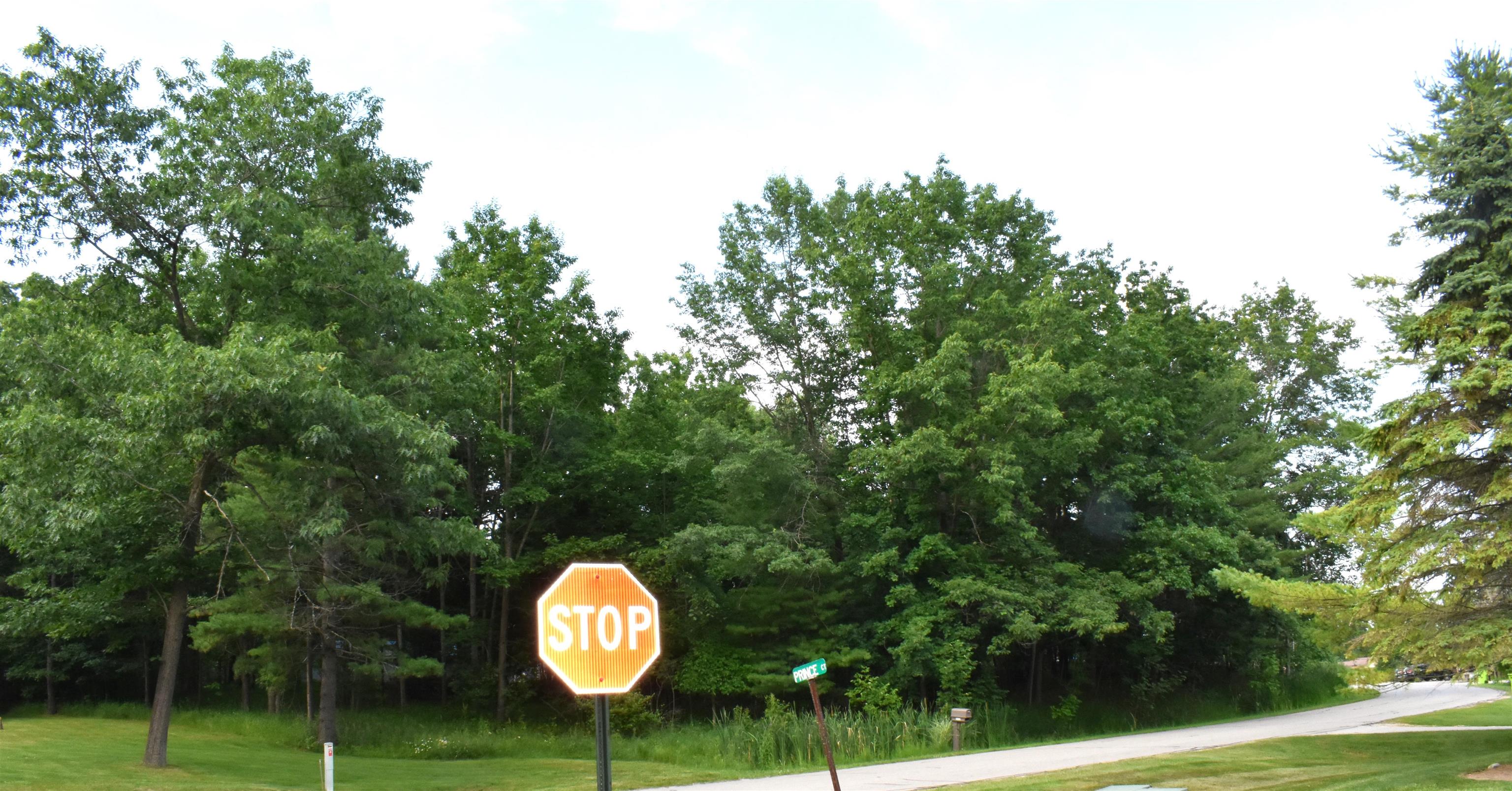 Lot 234 Kings Way, Gladwin MI 48624 photo 1
