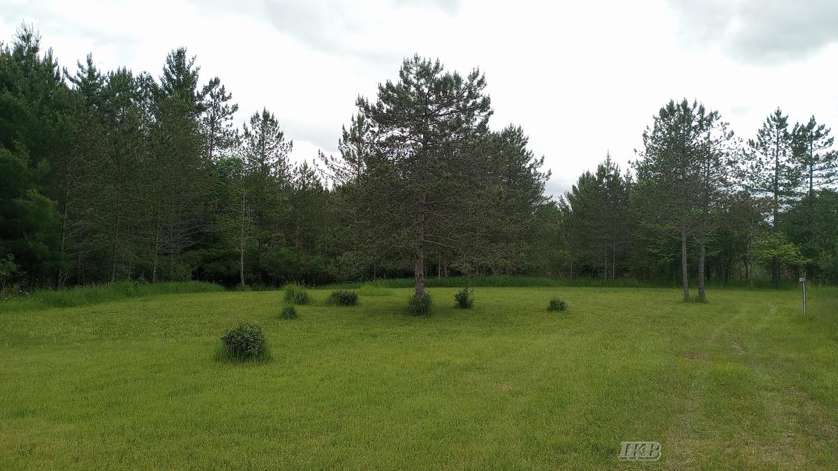 5403 Knights Way, Gladwin MI 48624 photo 1