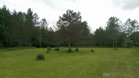 5403 Knights Way, Gladwin MI 48624 photo 1