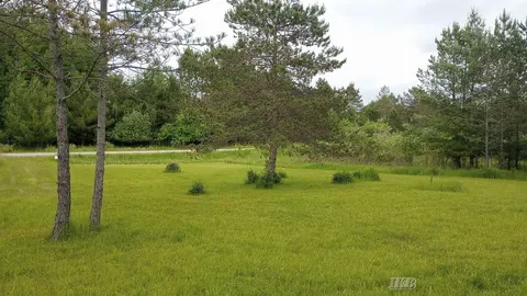 5403 Knights Way, Gladwin MI 48624 photo 3