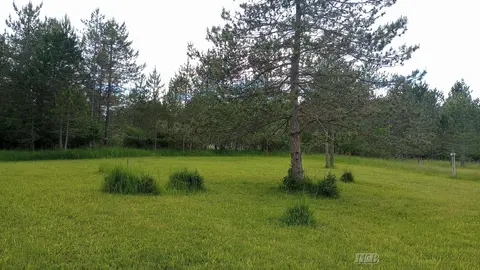 5403 Knights Way, Gladwin MI 48624 photo 5