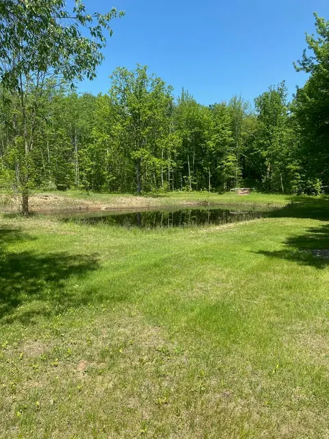 3302 W Dana Road, Coleman MI 48618 photo 3