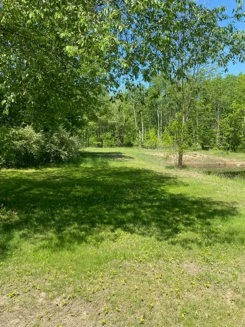3302 W Dana Road, Coleman MI 48618 photo 4