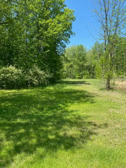 3302 W Dana Road, Coleman MI 48618 photo 5