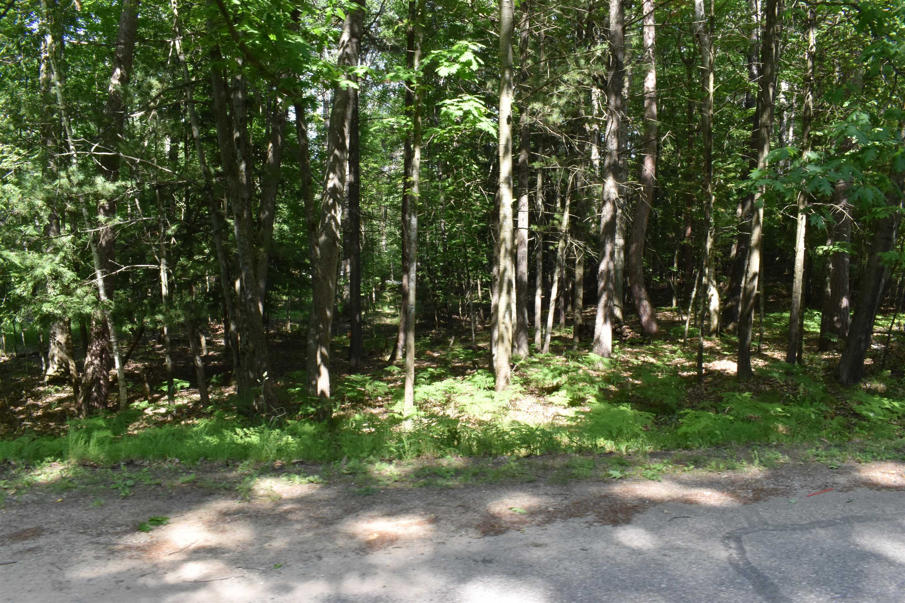 Lot 196 Princess Way, Gladwin MI 48624 photo 1