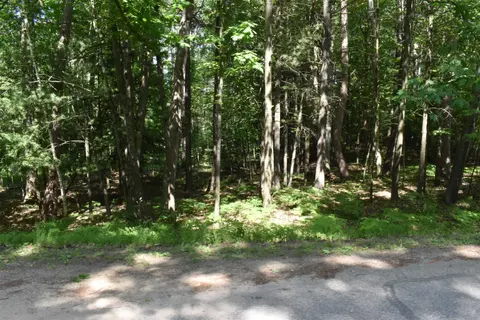 Lot 196 Princess Way, Gladwin MI 48624 photo 1