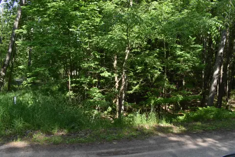 Lot 196 Princess Way, Gladwin MI 48624 photo 2