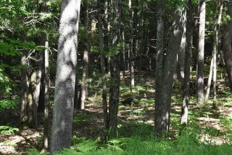 Lot 196 Princess Way, Gladwin MI 48624 photo 3