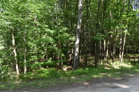 Lot 196 Princess Way, Gladwin MI 48624 photo 4