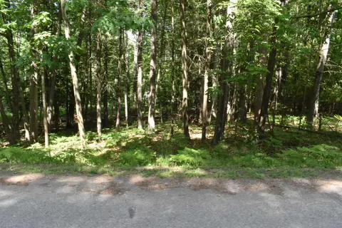 Lot 196 Princess Way, Gladwin MI 48624 photo 5