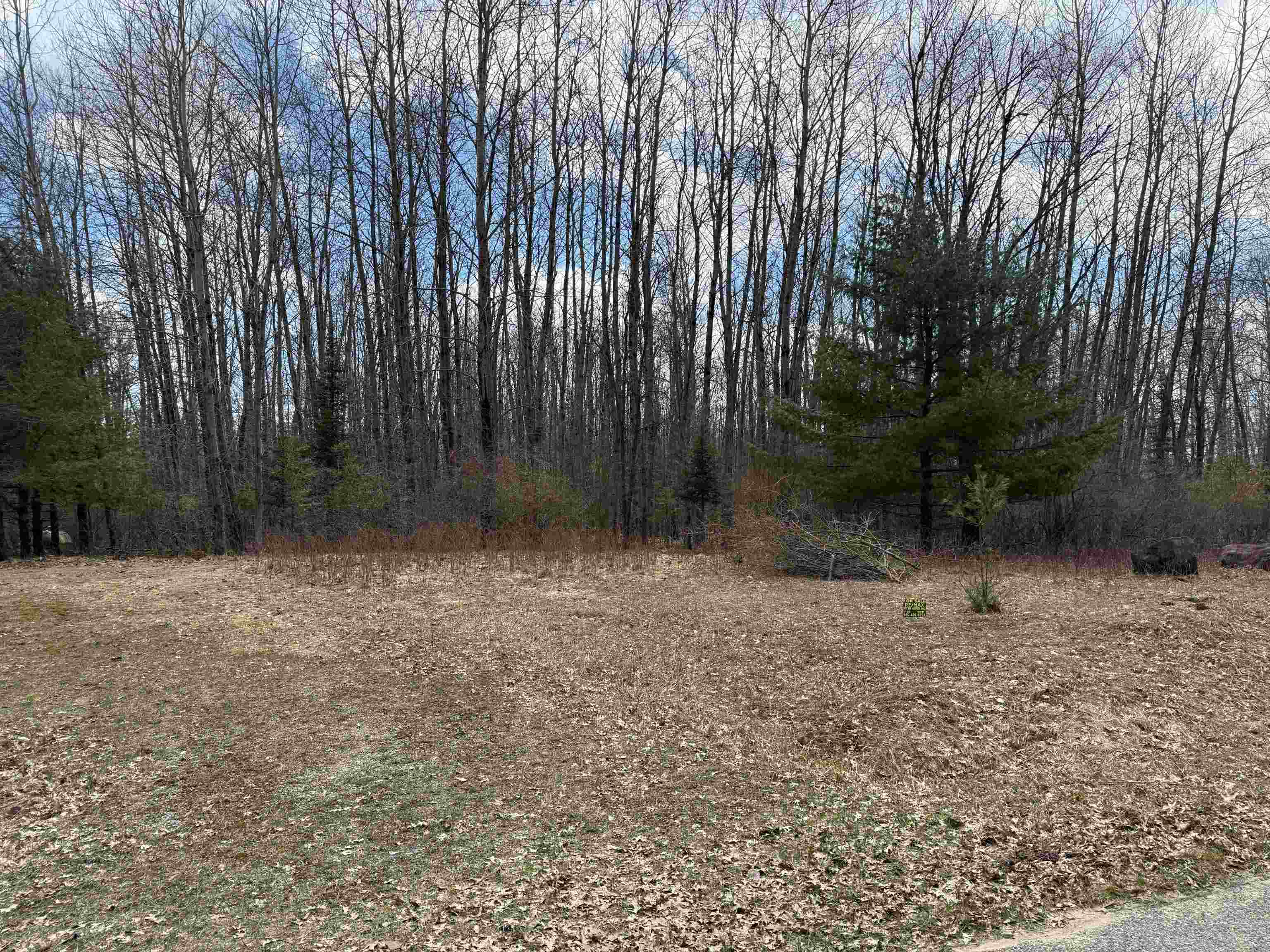 60 Sandbridge Court, Gladwin MI 48624 photo 1