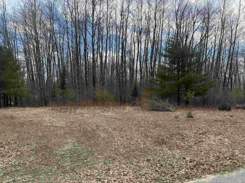 60 Sandbridge Court, Gladwin MI 48624 photo 1