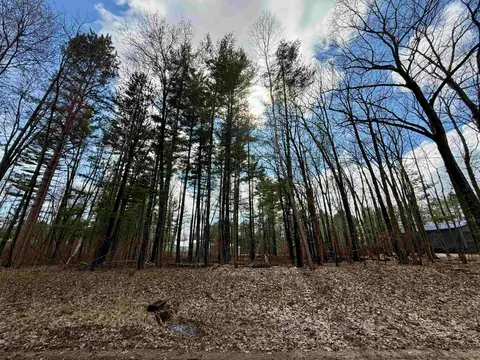 Wildwood Drive, Gladwin MI 48624 photo 2
