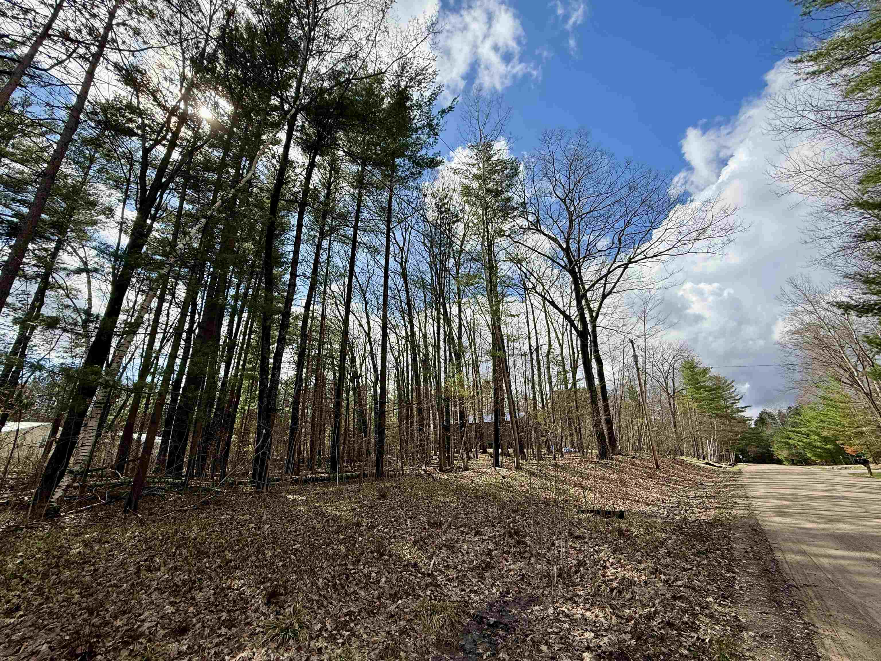 Wildwood Drive, Gladwin MI 48624 photo 1