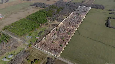 VL Mortimer Line Road, Croswell MI 48422 photo 3