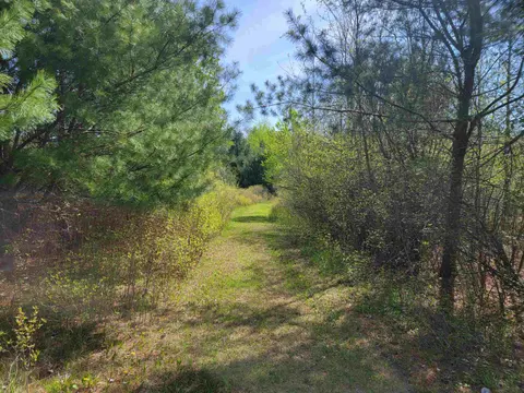 32 acres Three Rivers Road, Gladwin MI 48624 photo 1