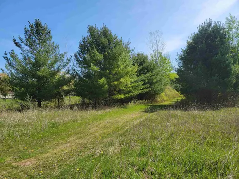 32 acres Three Rivers Road, Gladwin MI 48624 photo 3
