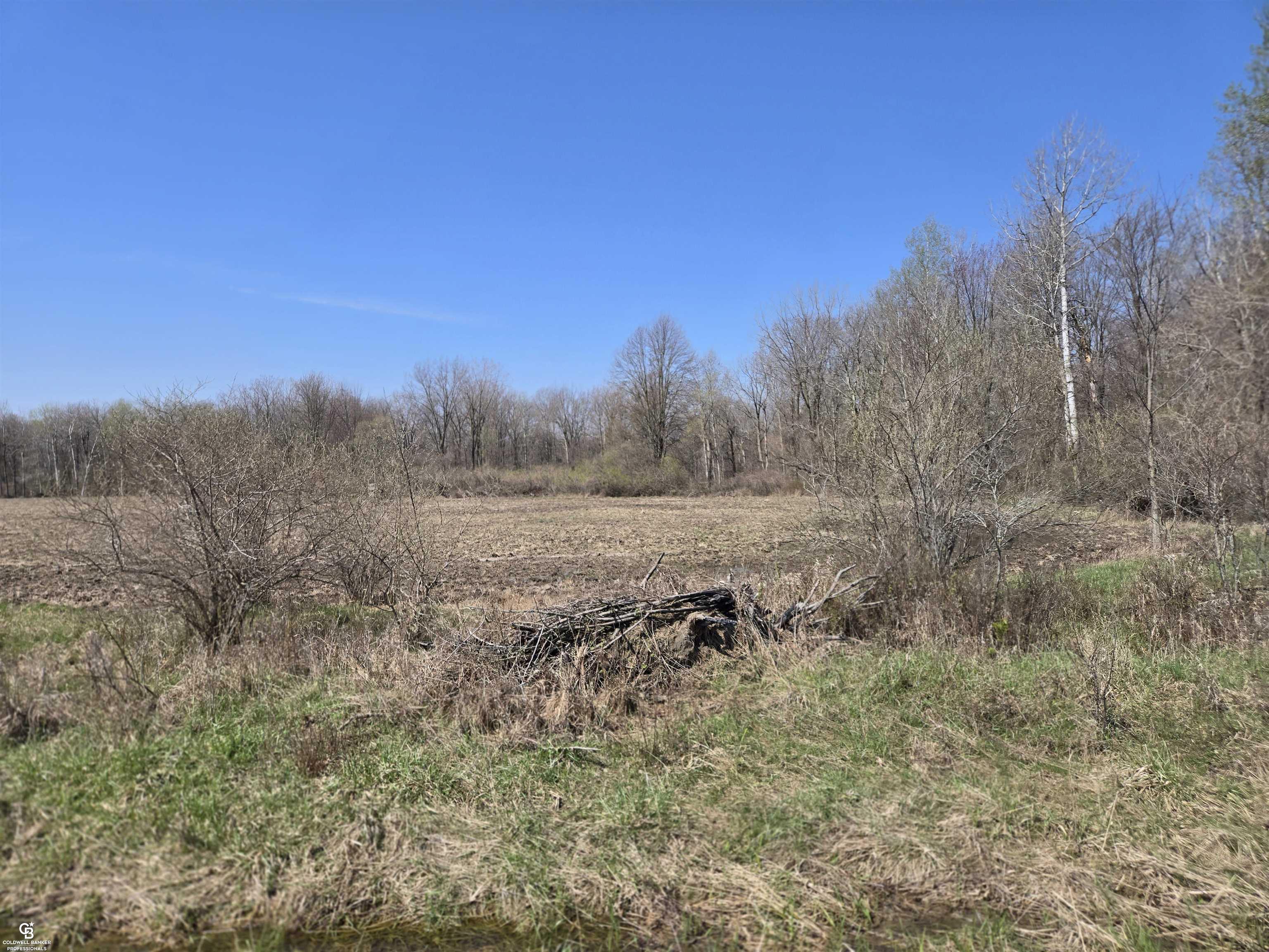 1182 Fetting Vl Road, Sandusky MI 48471 photo 1