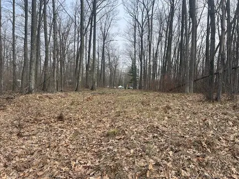 2.22 Acres N Clare Avenue, Harrison MI 48625 photo 4
