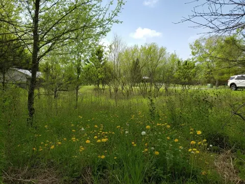Lot 56 Linksview Way, Gladwin MI 48624 photo 2