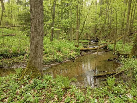 Lot 56 Linksview Way, Gladwin MI 48624 photo 5