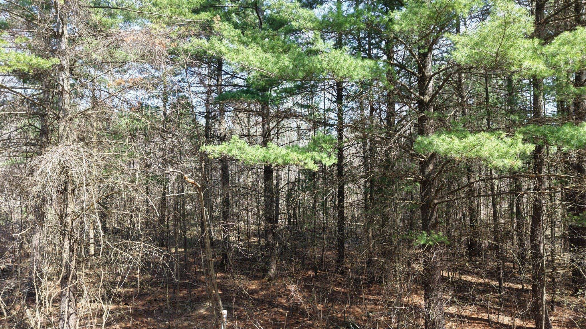 Lot 108 Salisbury Drive, Gladwin MI 48624 photo 1