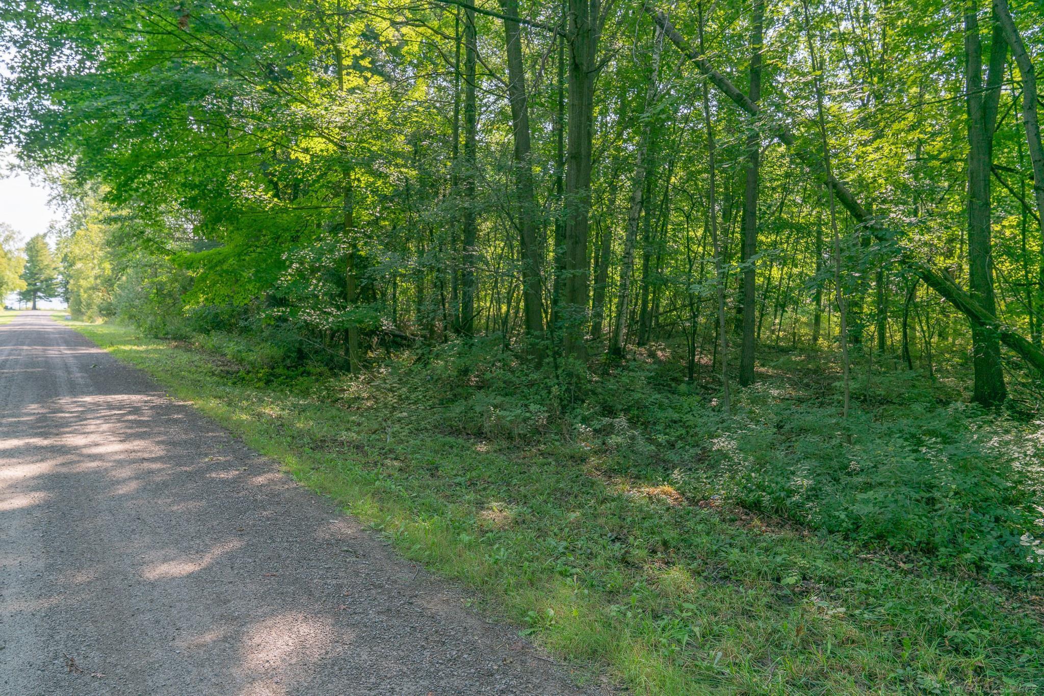 00 Schott Road, Harbor Beach MI 48441 photo 1