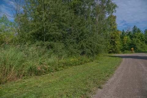 Lakeview Drive, Harbor Beach MI 48441 photo 3