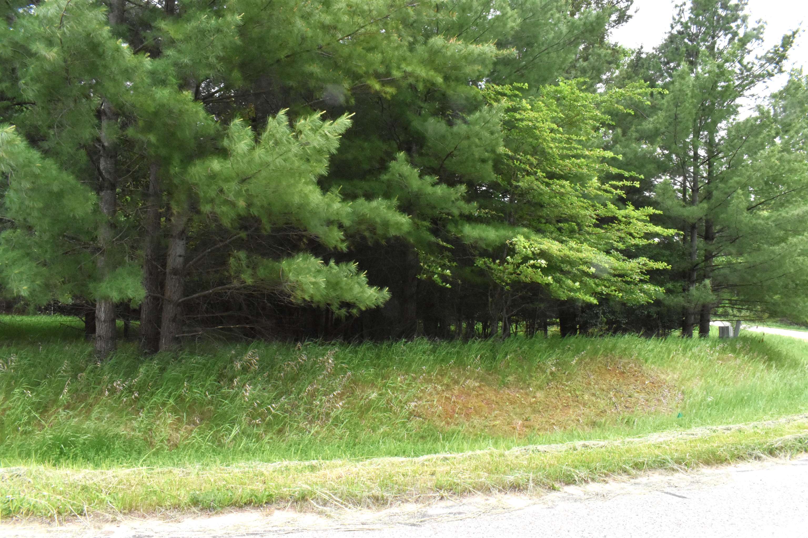Lot 155 Robinhood Way, Gladwin MI 48624 photo 1