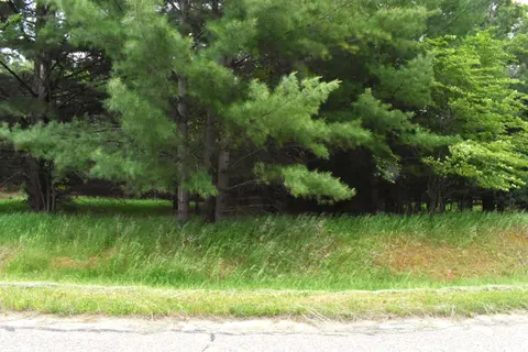 Lot 155 Robinhood Way, Gladwin MI 48624 photo 3