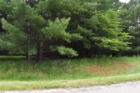 Lot 155 Robinhood Way, Gladwin MI 48624 photo 4