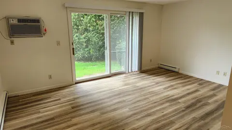 240 W Tuscola Unit 3 Street, Frankenmuth MI 48734 photo 2