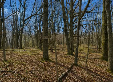 Lot 967 Cherry Road, Farwell MI 48622 photo 1