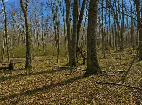 Lot 967 Cherry Road, Farwell MI 48622 photo 2