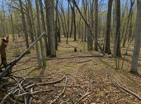 Lot 967 Cherry Road, Farwell MI 48622 photo 3